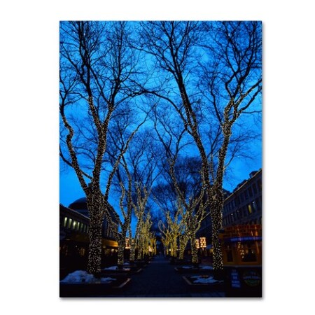 Trademark Fine Art CATeyes 'Boston 2' Canvas Art, 16x24 MZ0213-C1624GG